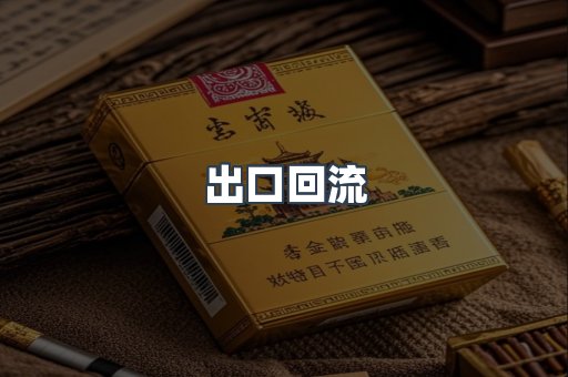 出口回流
